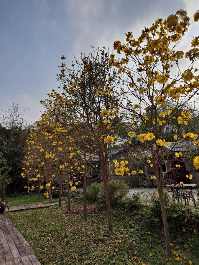 蓬萊生態農場仙山民宿 Nanzhuang Buitenkant foto