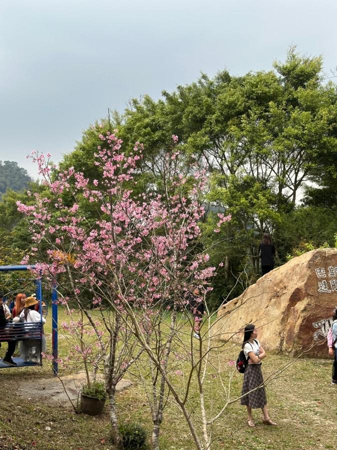 蓬萊生態農場仙山民宿 Nanzhuang Buitenkant foto